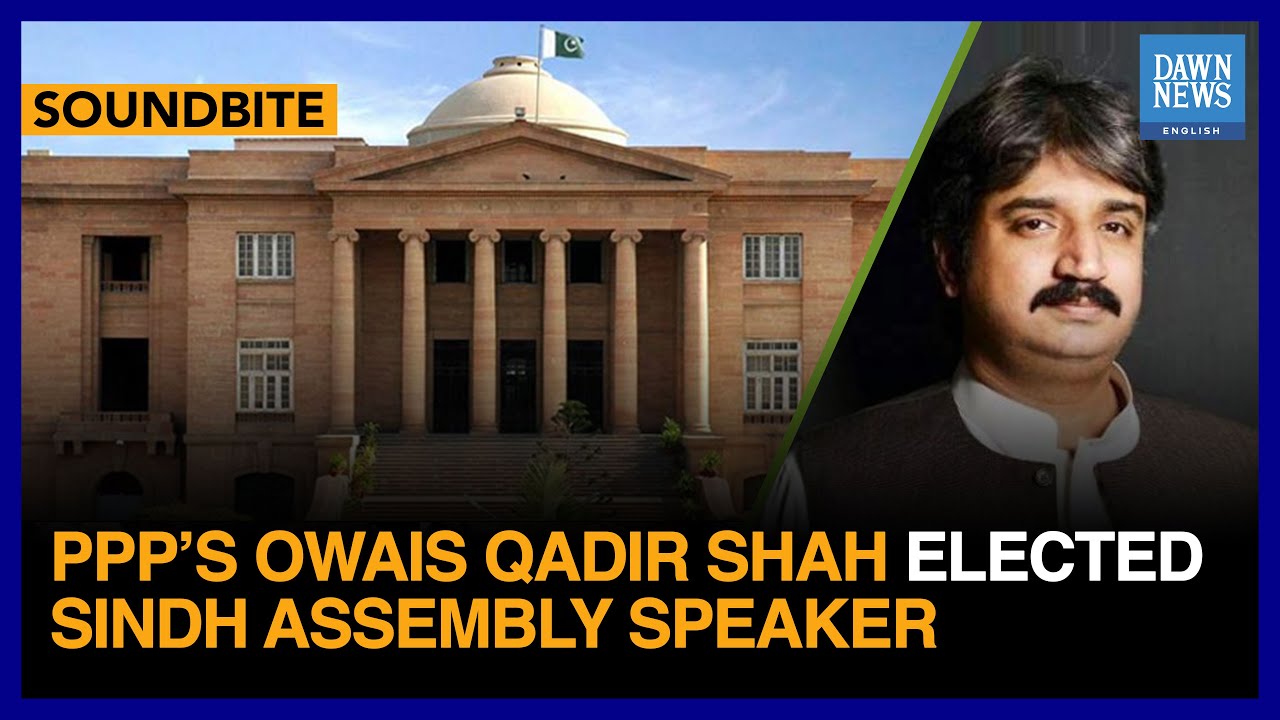 PPP’s Owais Qadir Shah Elected Sindh Assembly Speaker | Dawn News English