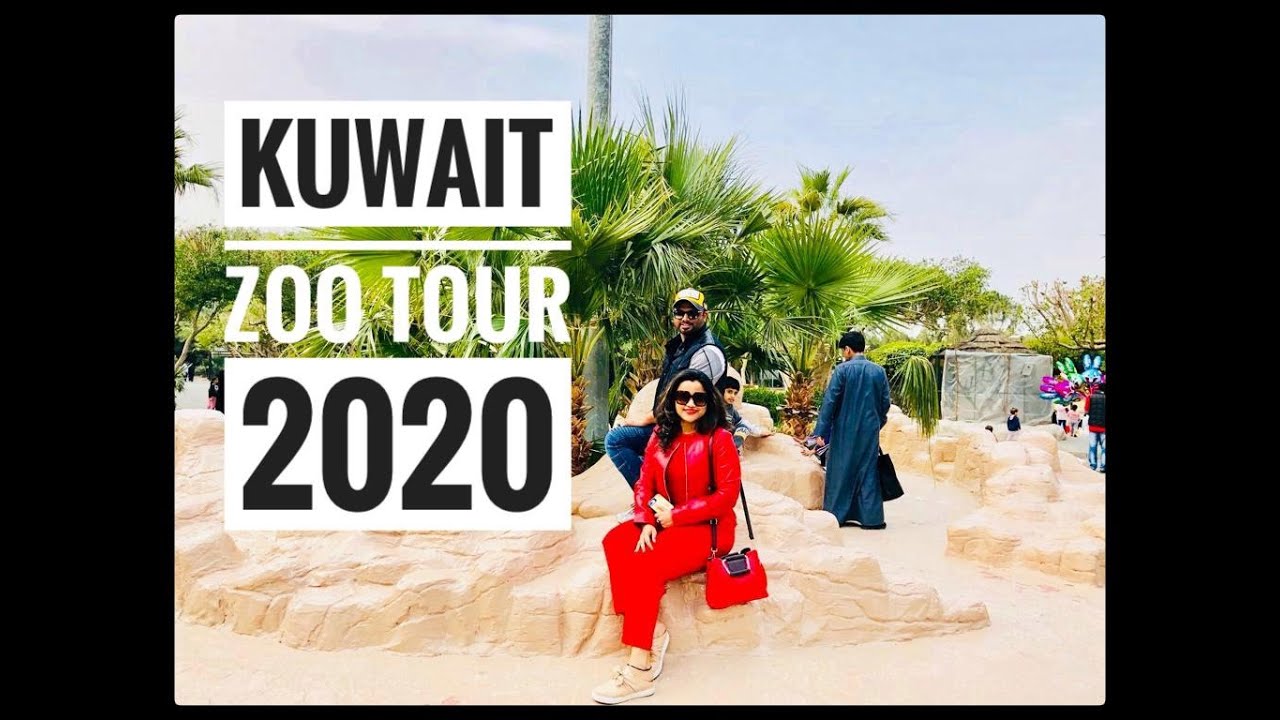 Kuwait 🇰🇼 Zoo Tour 2020