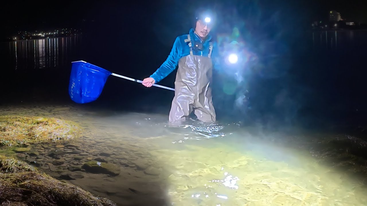 湖で大量の魚を見つけた