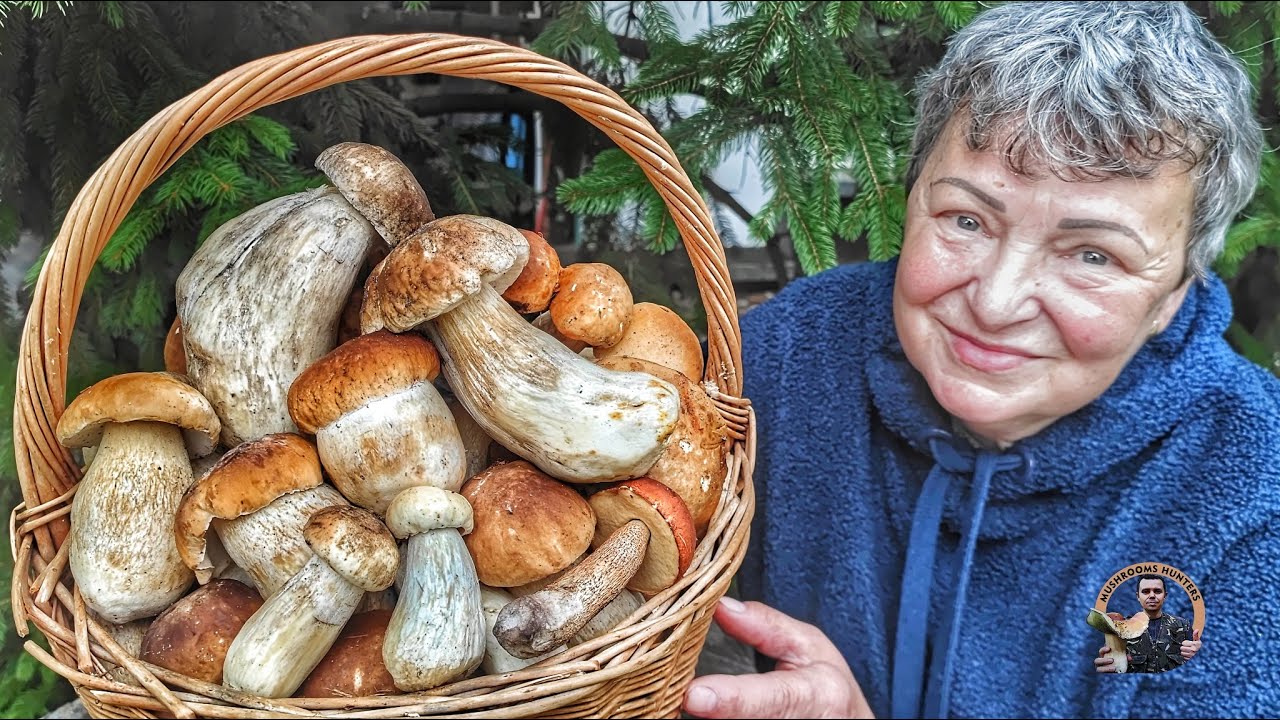 Hriby Huby Houby 10/2024 | Našli sme krásne pieskové dubáky jesenná dubáková sezóna na Záhorí nahuby