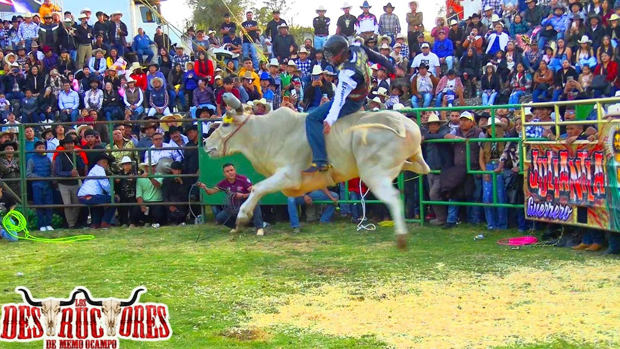 EXCESO DE GENTE PARA VER A LOS DESTRUCTORES DE MEMO OCAMPO!! JARIPEO EN AROCUTIN MICHOACAN 2025