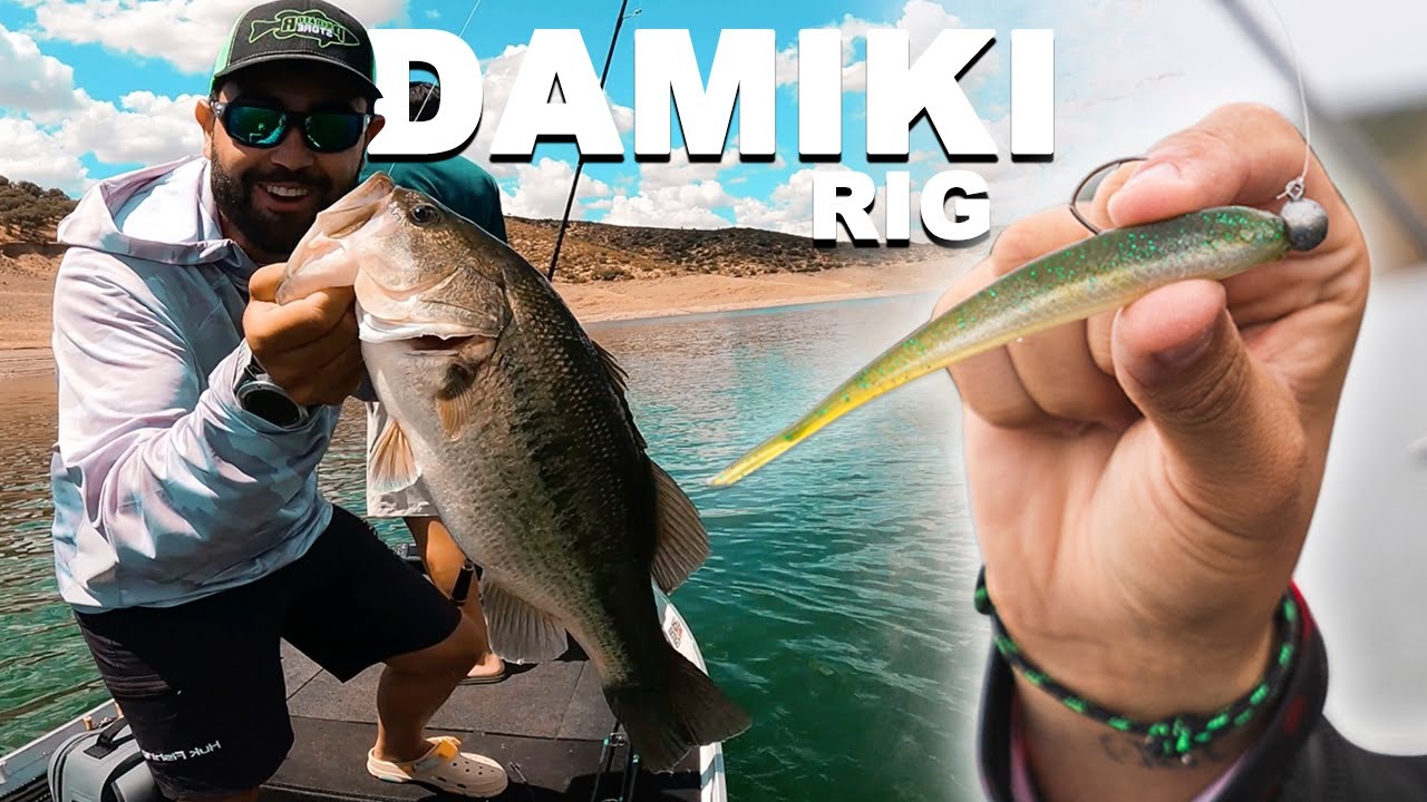 DAMIKI RIG | APRENDE a PESCAR peces SUSPENDIDOS