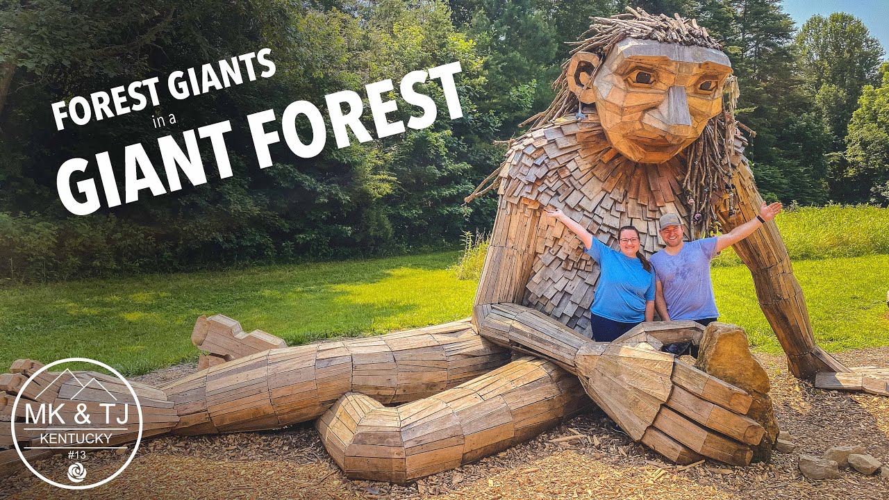 Louisville FIREWORKS & the FOREST GIANTS in a GIANT FOREST