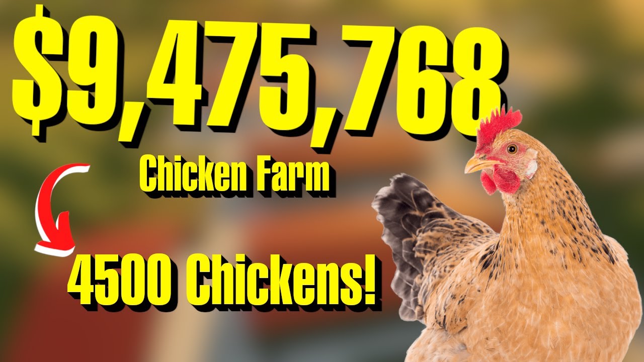 FS22 | $9,475,768 Chicken Farm Build With 4500 Chickens!!! | $10,000,000 Farm Build Series | EP 1
