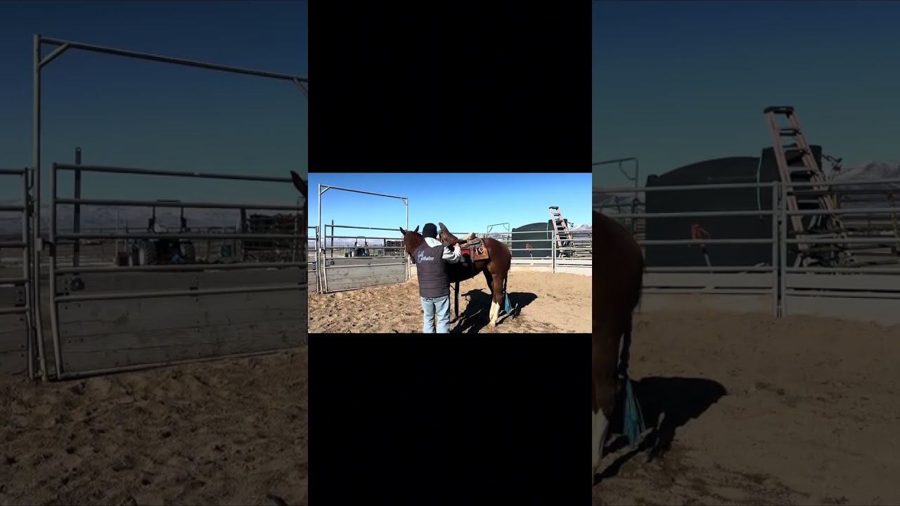 Kellye update! Training week 1! 