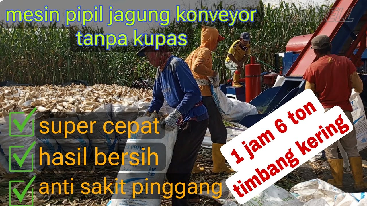 Review mesin perontok jagung tanpa kupas || perontok jagung inovasi terbaru