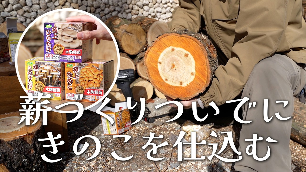 #9 【自給自足】薪を作るついでに食料生産！原木きのこ栽培で豊かな森暮らしを目指す