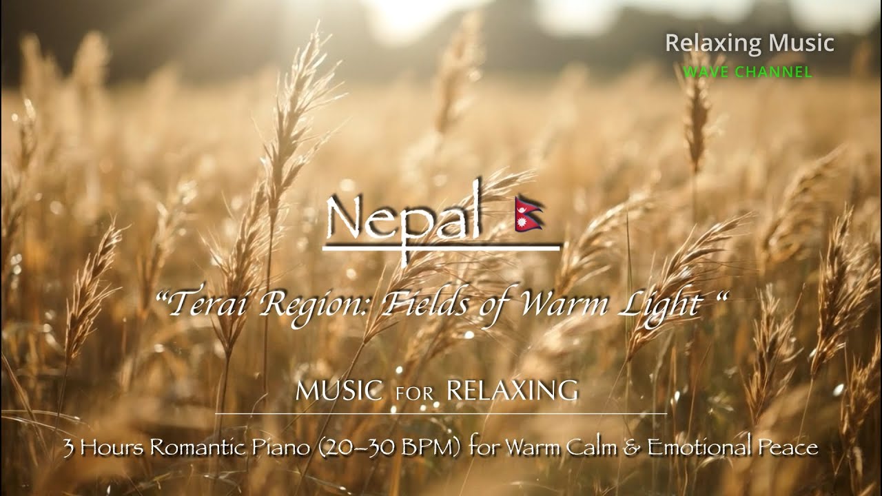 Terai Region-Fields of Warm Light | 3 Hours Romantic Piano 20&ndash;30 BPM)for Warm Calm & Emotional Peace