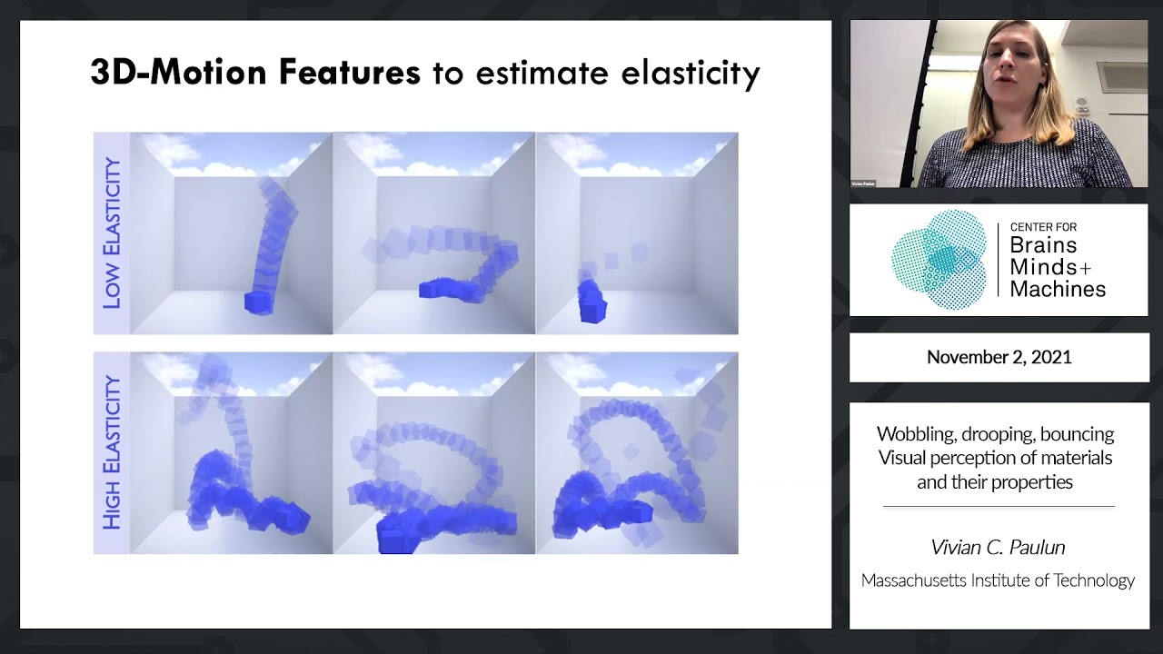 Wobbling, drooping, bouncing - Visual perception of materials and their properties