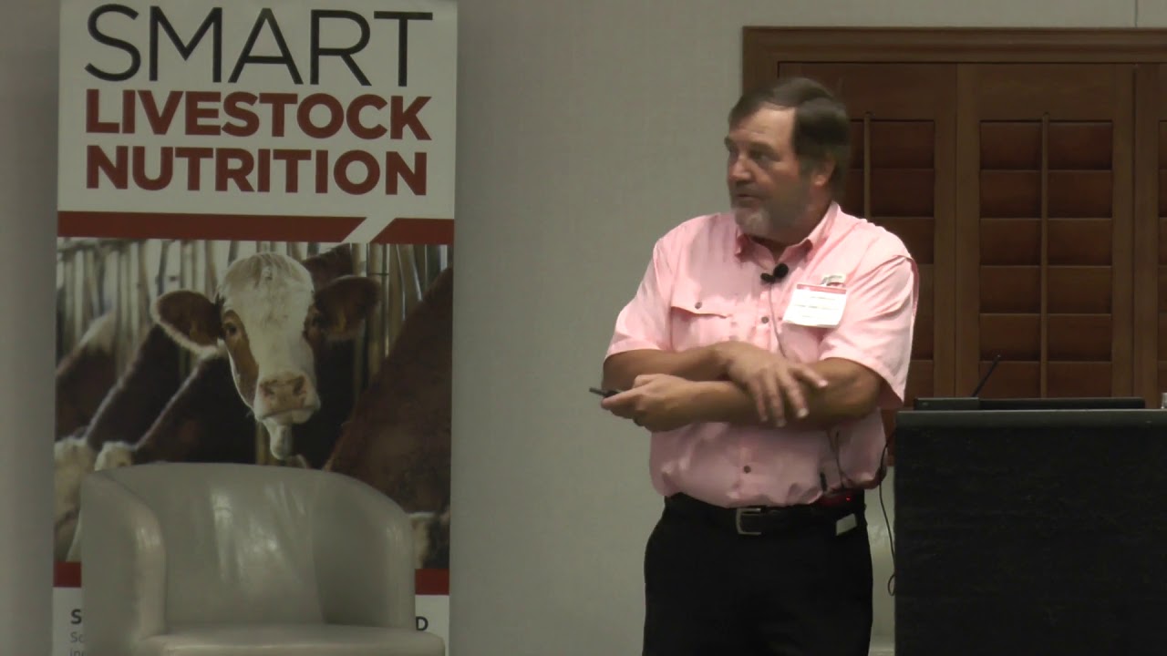 Sorghum for Livestock and Poultry by Joe Hancock - Export Sorghum 2019