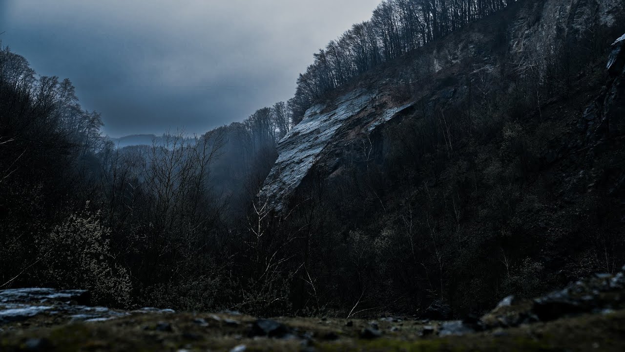 Valley of the Giants - Soft Rain  [4K] | WHITE NOISE | STUDY | SLEEP |