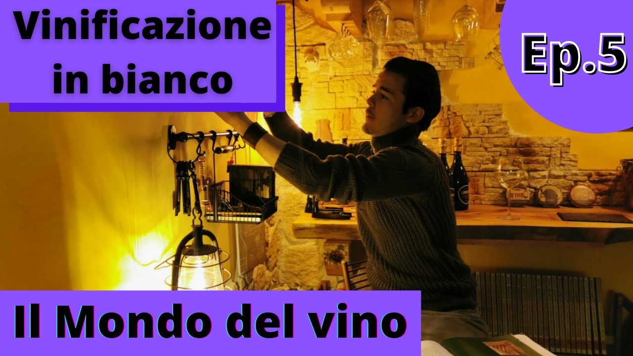 Il Mondo Del Vino // Ep. 5 - Vinificazione In Bianco