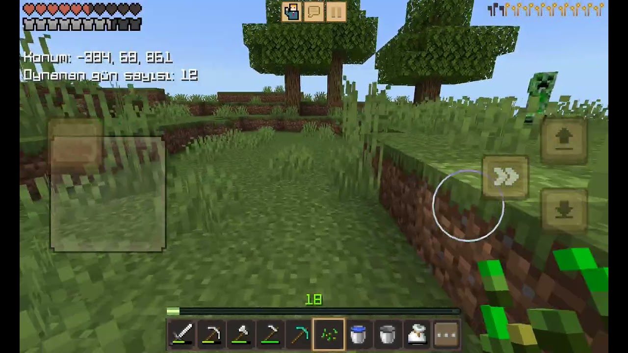 Minecraft oynuyoruz!