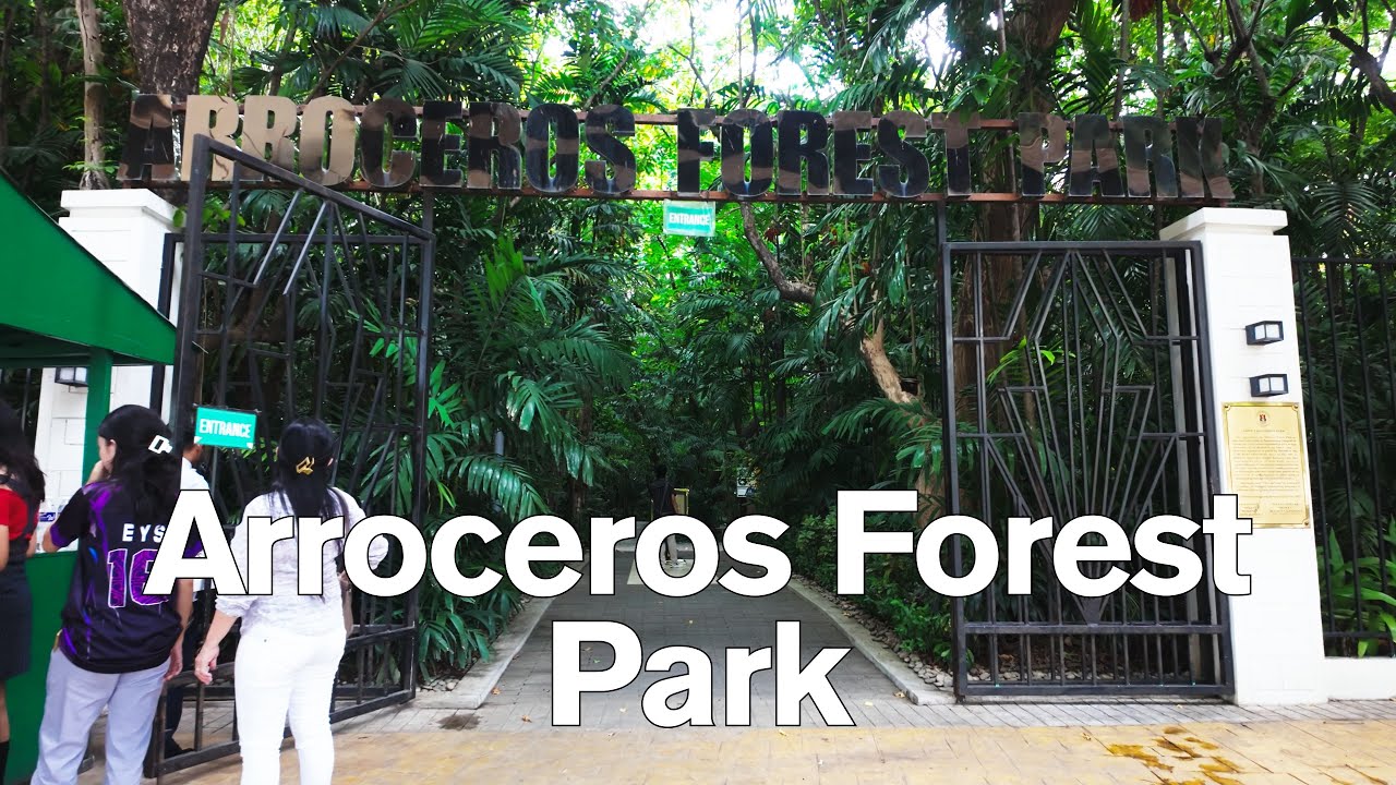 Morning Walk at Arroceros Forest Park | Manila&rsquo;s Hidden Urban Jungle