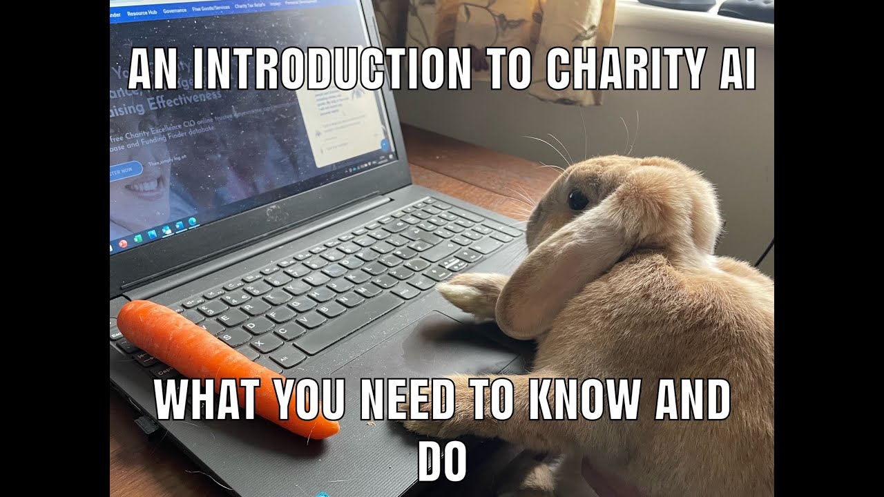 Charity AI - An Introduction To AI For Charities