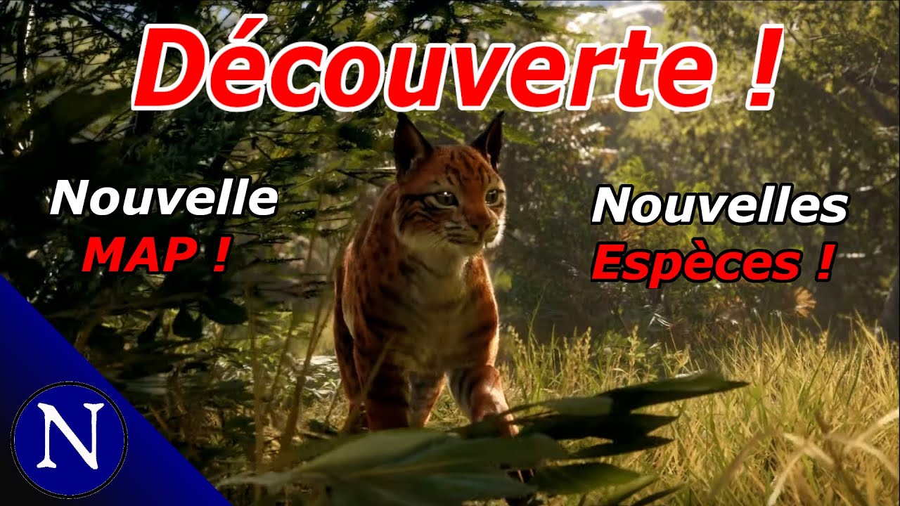 The Hunter COTW : Bienvenue au Méxique !
