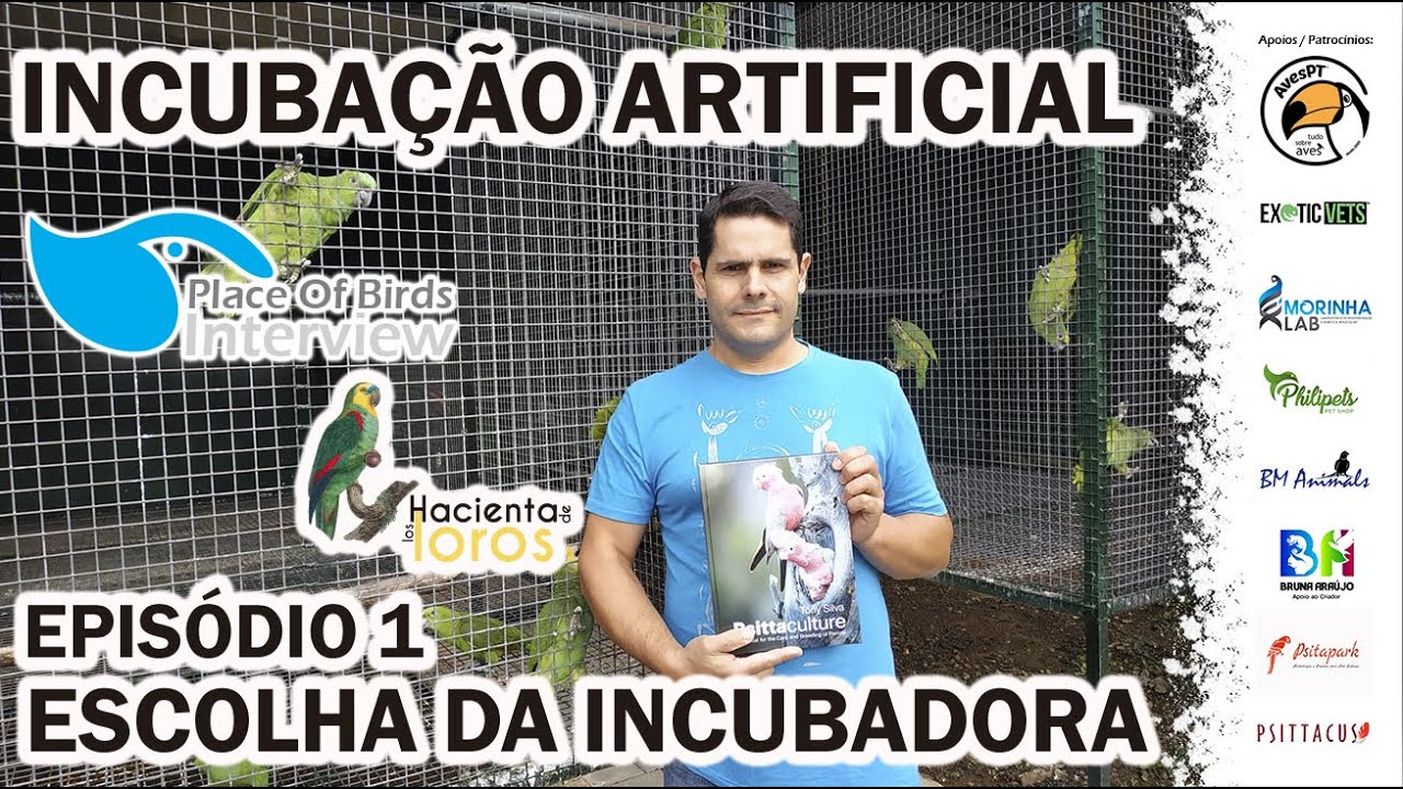 INCUBAÇÃO ARTIFICIAL: Episódio 1