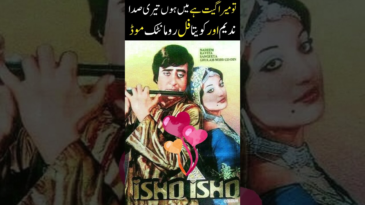 TU MERA GEET HAI MAIN HOON TERI SADA SINGER MEHNAZ 