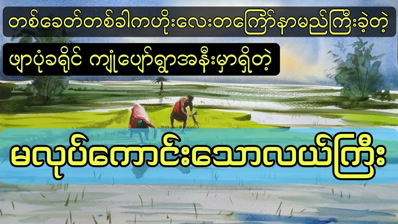 ဖျာပုံခရိုင်ကျုံပျော်ရွာအနီးကမလုပ်ကောင်းတဲ့လယ်ကွက်ကြီး #htetaung #ထက်အောင်