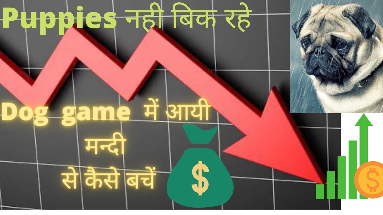 Dog game में आयी मंदी से कैसे बचे