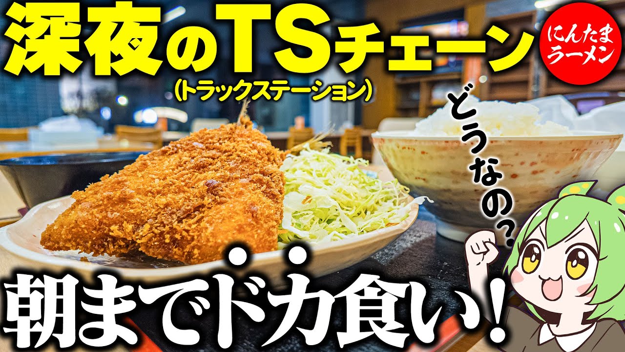 【深夜のドカ食い】24時間年中無休のトラックステーショングルメ【ずんだもん】