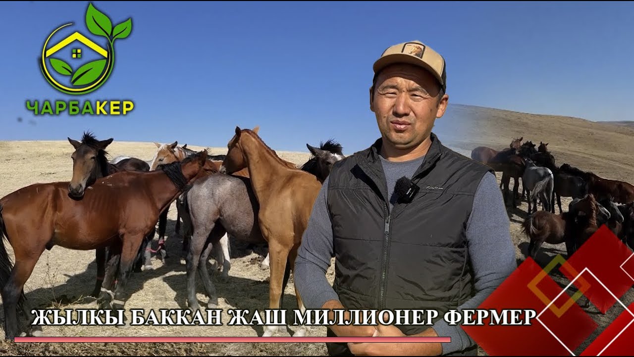 Жылкы баккан жаш миллионер фермер // ЧАРБАКЕР берүүсү