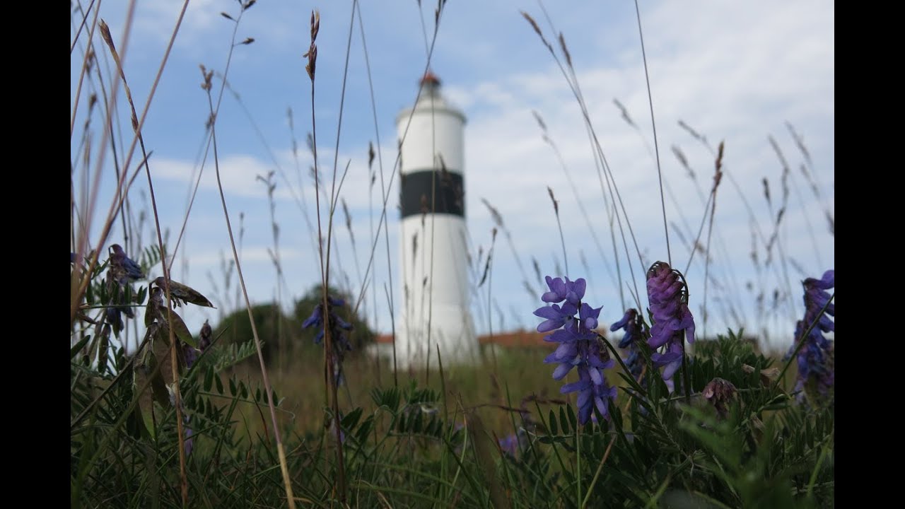 Schweden 2013 - &Ouml;land, Kalmar, Byxelkrok
