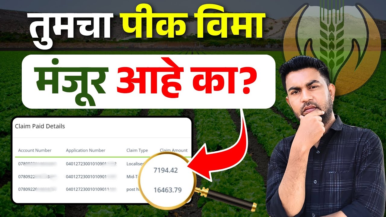 तुम्हाला किती पीक विमा मंजूर? असे चेक करा | Manjur Pik Vima 2024 | Crop Insurance Maharashtra