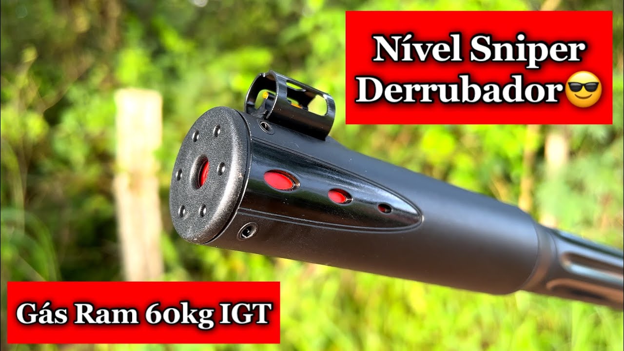 Melhor Carabina da Gamo!