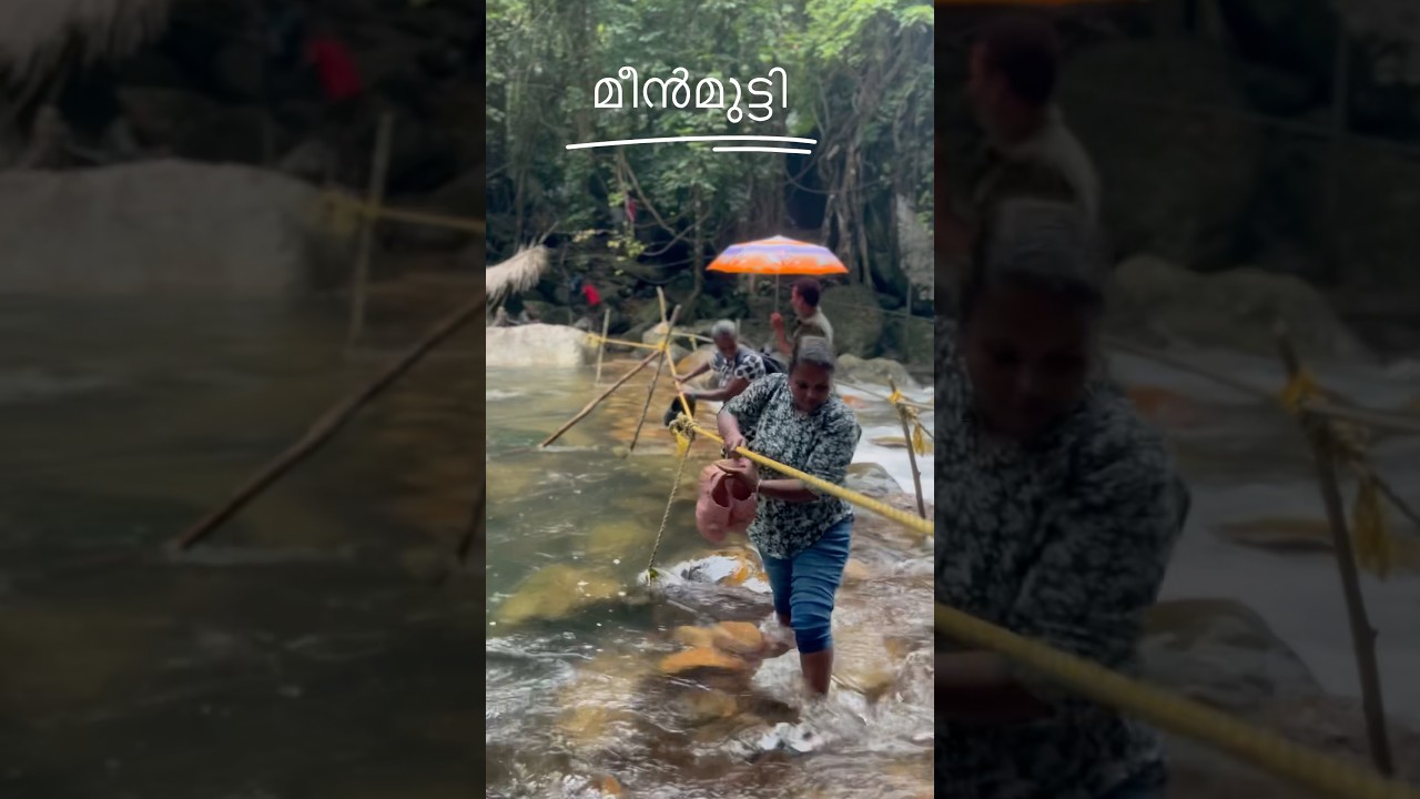 കാട്ടിനുള്ളിലൂടെ മീൻമുട്ടിയിലേക്ക് ഒരു യാത്ര🌊🌴#gopikasvlogs #dailyvlog #shortsviral #meenmutty