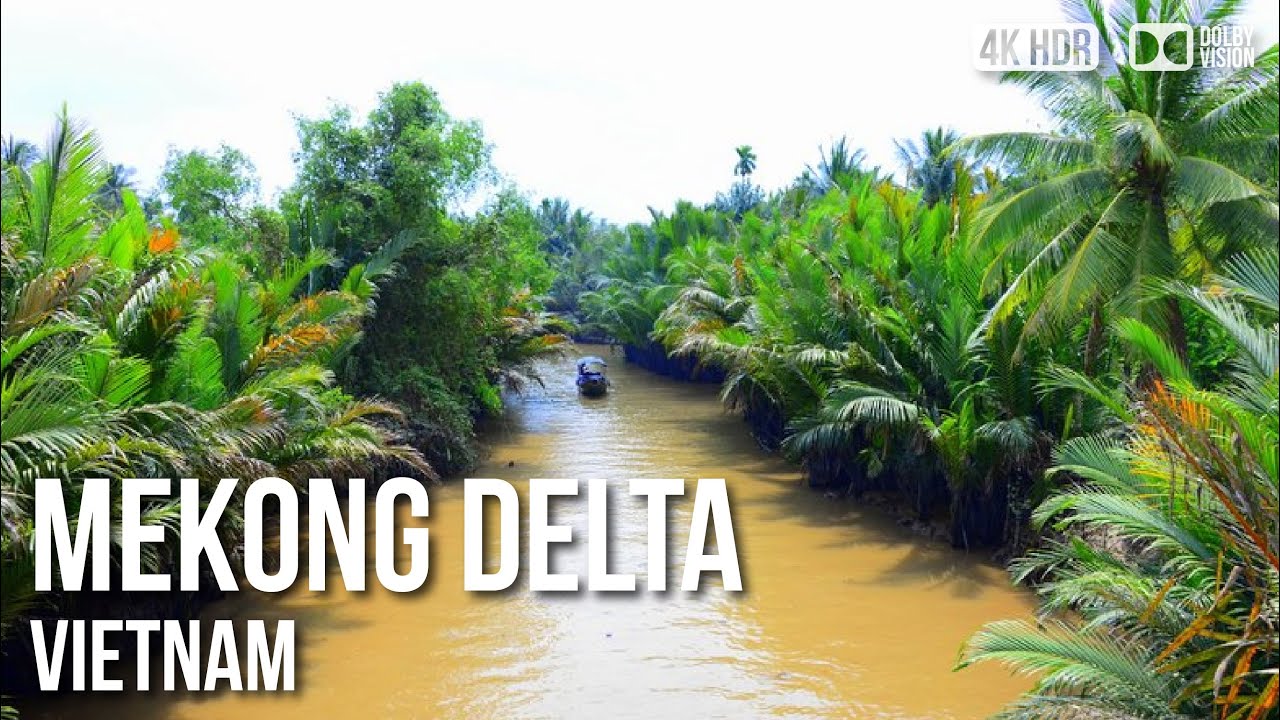 Mekong Delta,  Hàm Luông River Cruise - 🇻🇳 Vietnam [4K HDR] Boat Tour