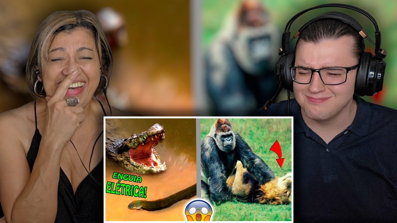 🔴 Quando os Animais Escolhem o Oponente Errado! {Fala de Tudo} *REACT*