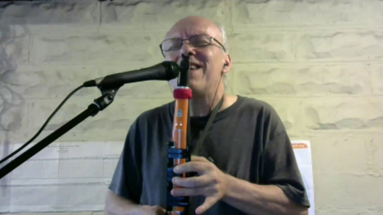 Hide and Seek cover Tony Ostinato Windsynth Vocoder