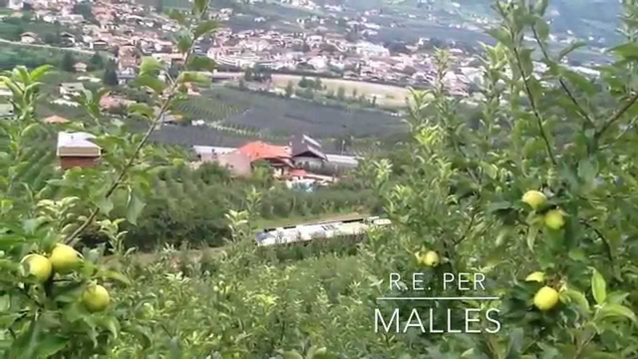 GTW 2/6 - ATR 100 S.A.D. alle porte della val Venosta