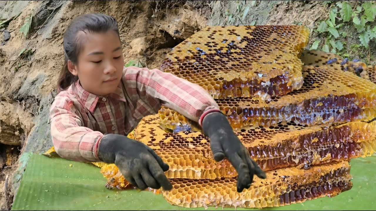 Single Vietnamese girl catches honey bees alone to make a living
