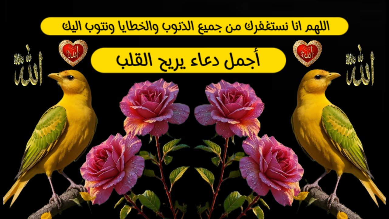 ✨دعاء جميل ✨♥️♥️ اسأل الله أن يكتب لكم في كل خطوة اجر العابدين وفضل الشاكرين ♥️♥️