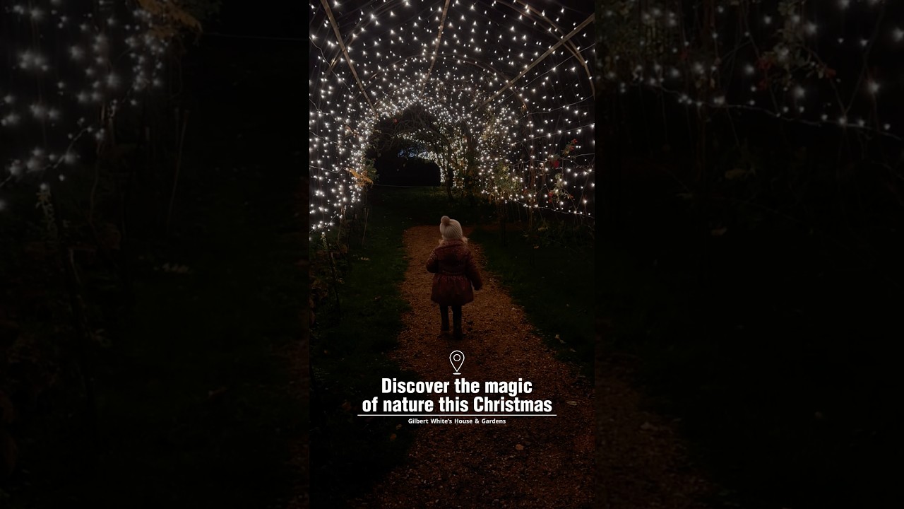 Discover the magic of nature this Christmas