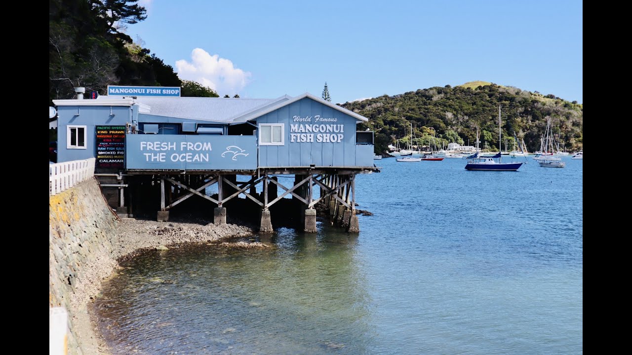 Northland NZ: Mangonui fish and chips, Ahipara and Hokianga