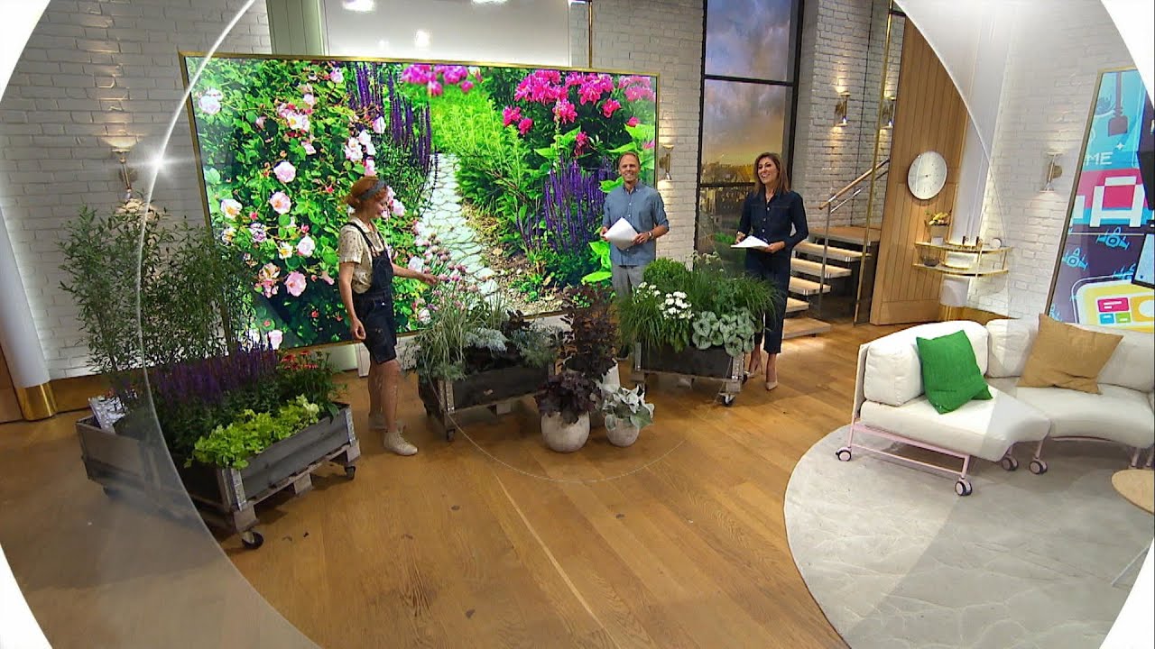 Tid för perenner – tipset för att lugna ner rabatten - Nyhetsmorgon (TV4)