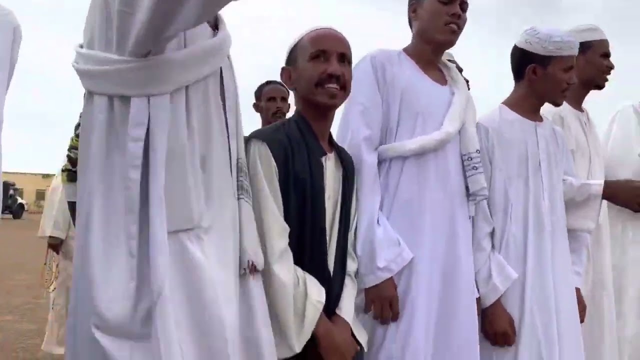 خيول ابشام  - ابونا الشيخ الشفيع بالبنية الصادقاب 2022م