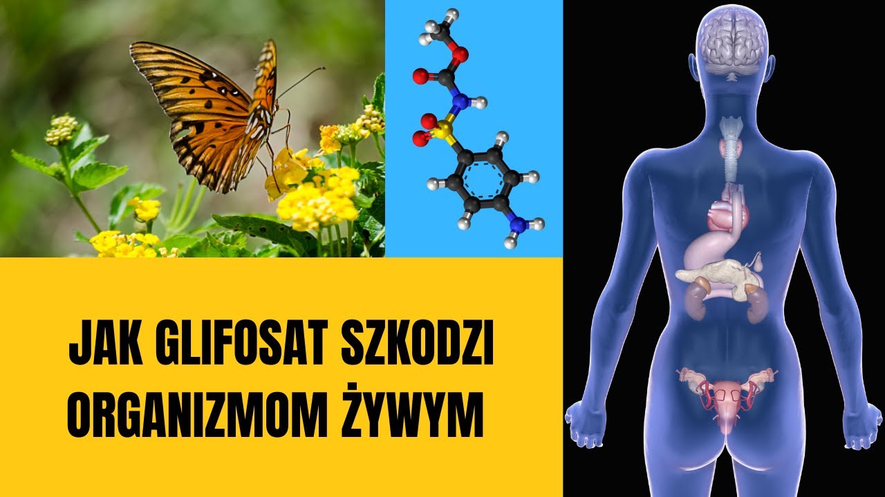 SZKODLIWY WPŁYW GLIFOSATU NA ORGANIZMY ŻYWE #glifosat #herbicydy