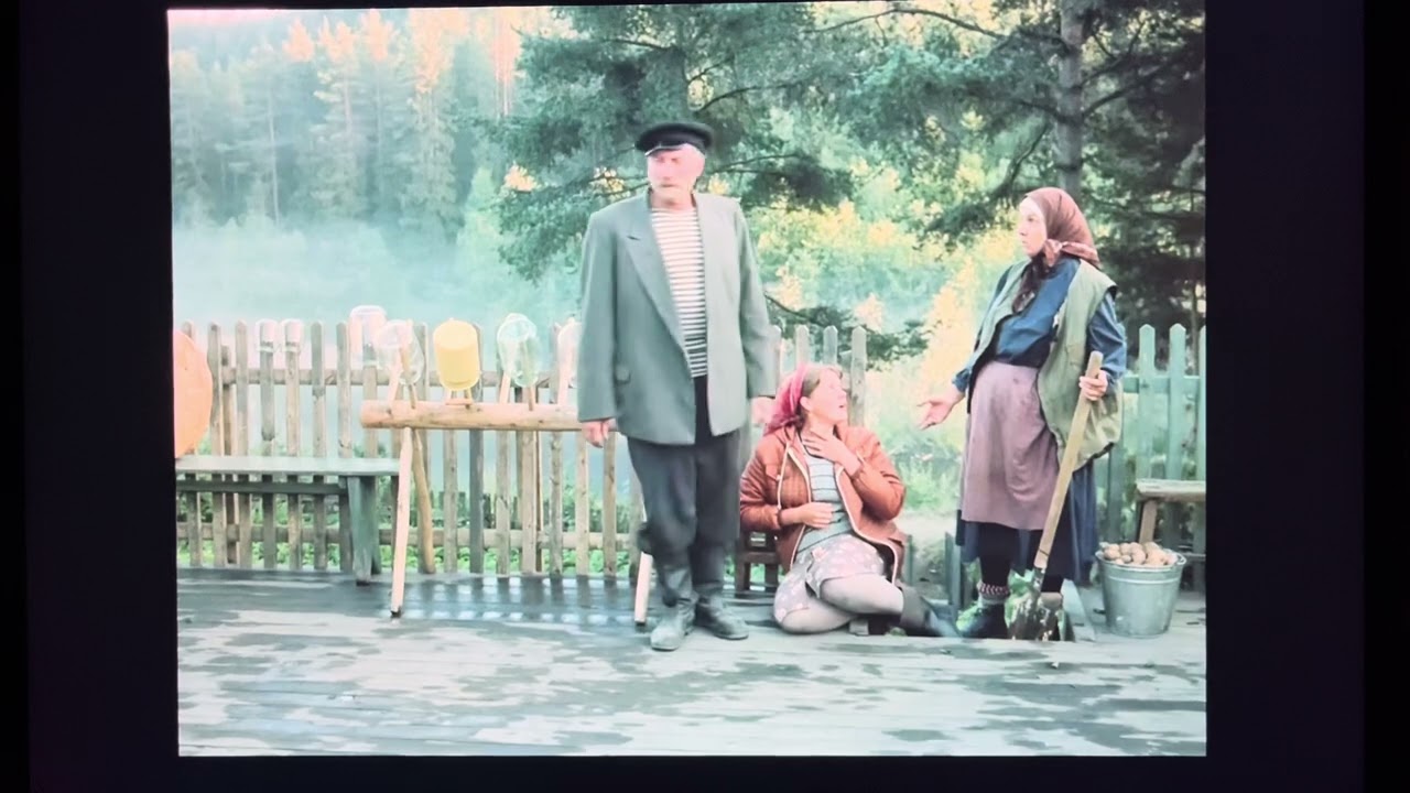 « Любовь и голуби » (1984) отрывок