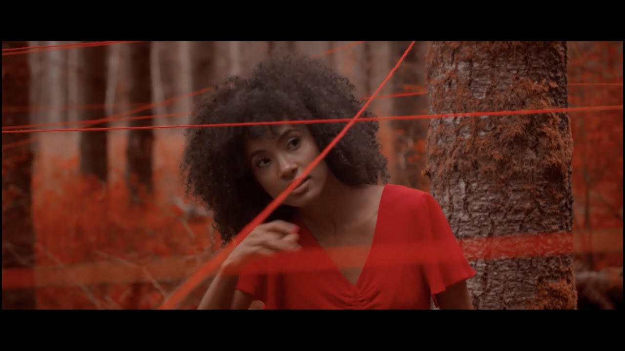 Esperanza Spalding - Lest We Forget