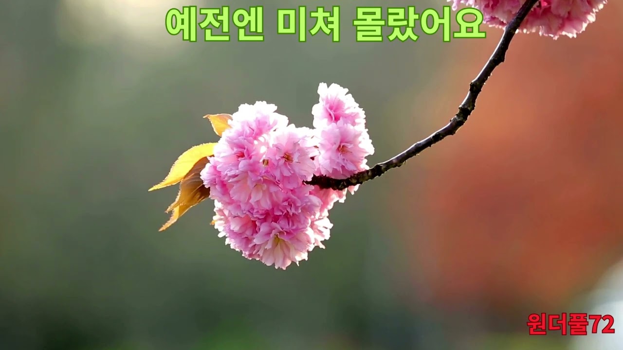 예전엔 미쳐 몰랐어요