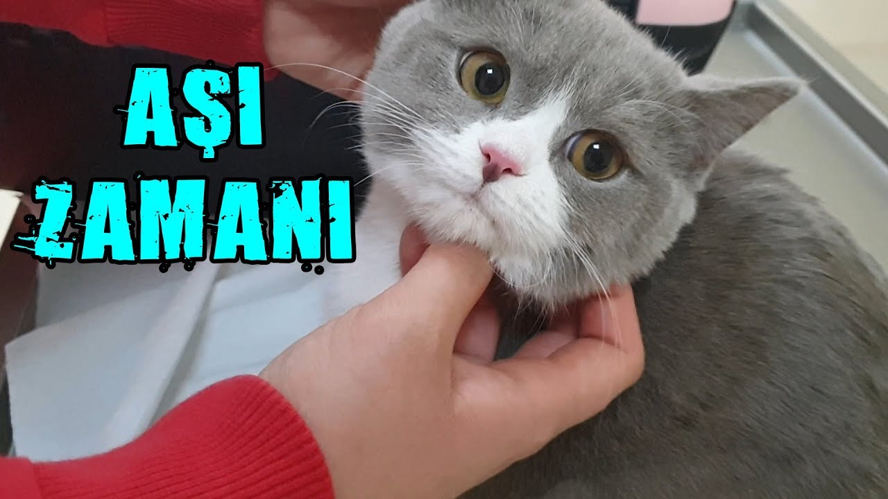 LUNA VETERİNERDE (Kuduz ve İç Dış Parazit Aşı)