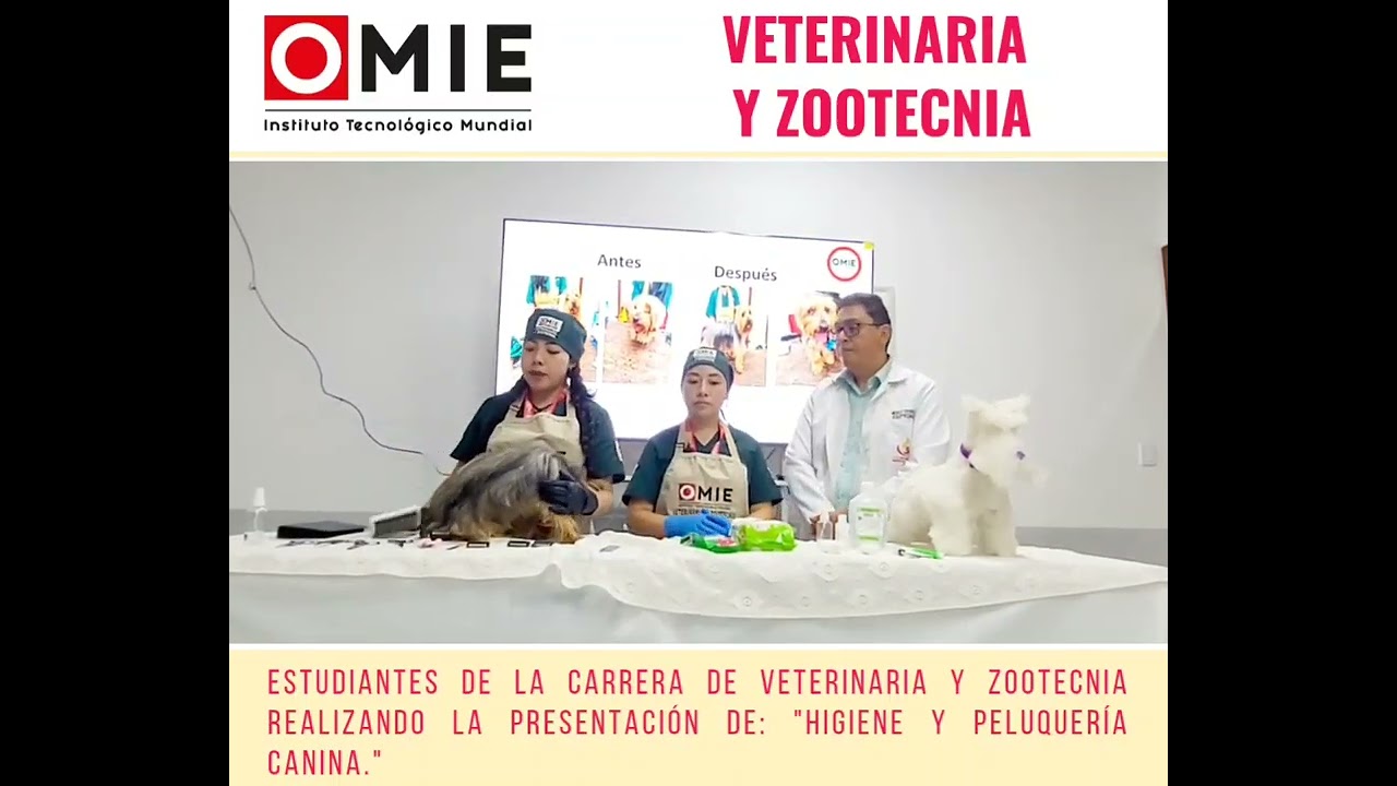 VETERINARIA Y ZOOTECNIA