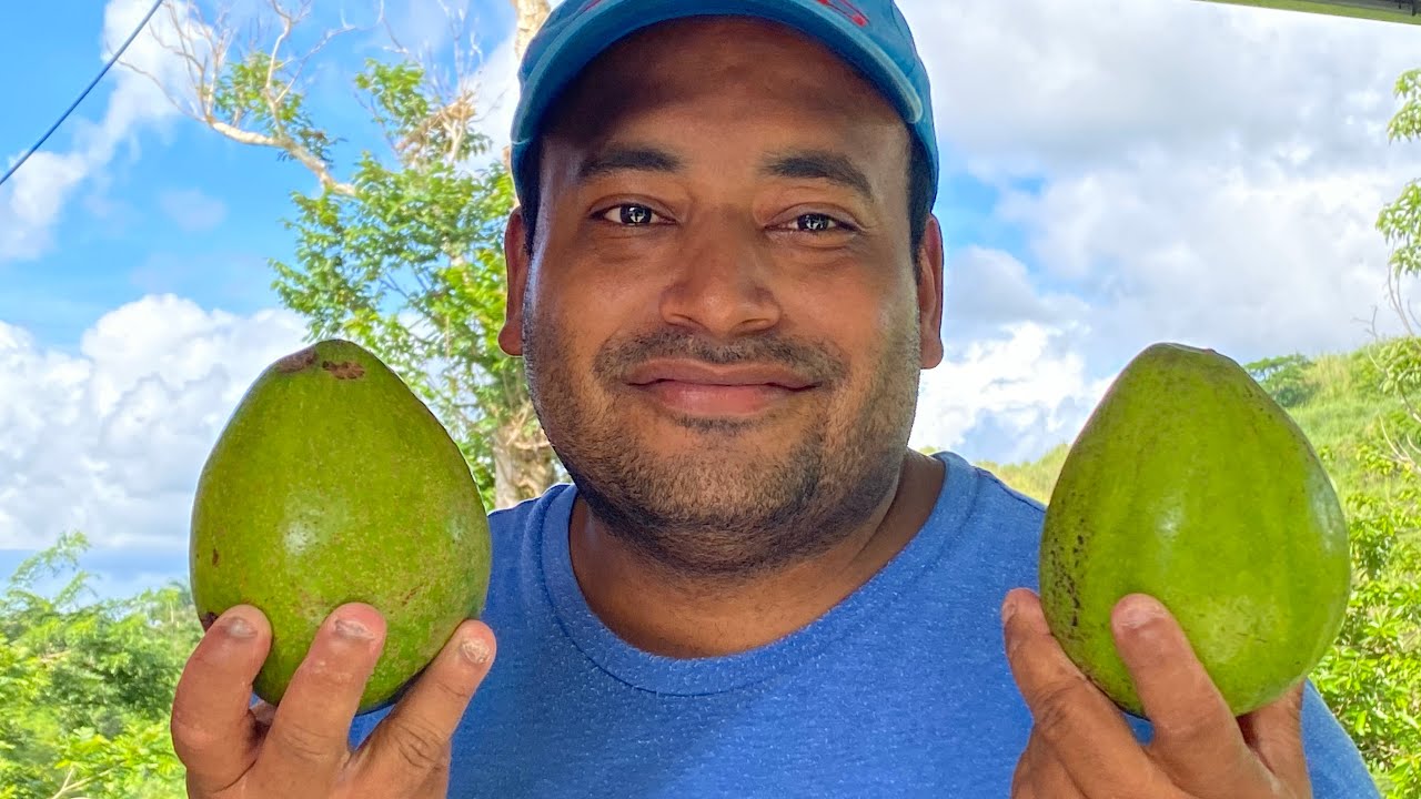 COMO TUMBAR AGUACATES 🥑 DE UNA FORMA FÁCIL Y RÁPIDO