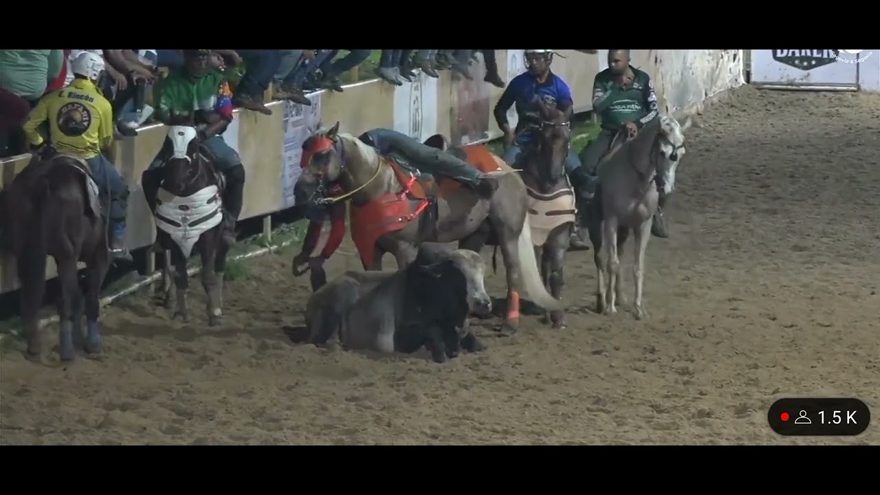 Toros Coleados 1era copa millonaria homenaje a las estrellas salida 1 sábado