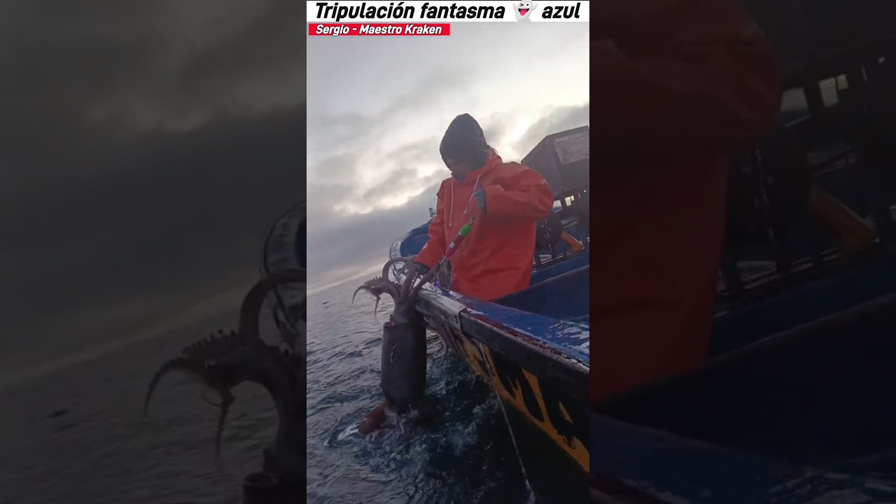 pesca de Jibia Gigante - Ataque sorpresa  #fishing #pesca #fish #pescachile