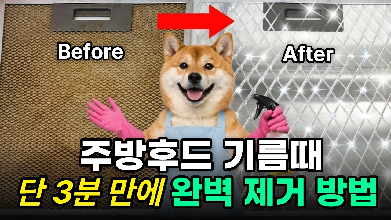 주방 후드 기름때, 손 안대고 3분만에 새 것 만드는 방법